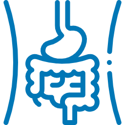 Digestive & Metabolic Support